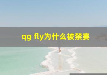 qg fly为什么被禁赛